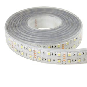 billig synd lol High lumen Super bright 5050 LED Strips - Haichang Optotech