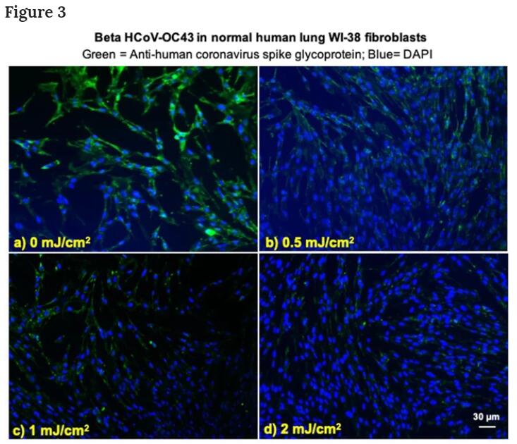 Studay shows Far-UVC light (222 nm) efficiently and safely inactivates airborne human coronaviruses