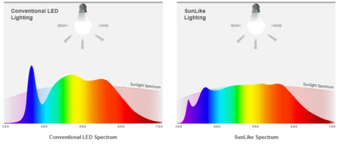 Daytime Exposure to Short-Wavelength Enriched Light with Daylight Spectrum -comparison under the same shape and color lighting condition