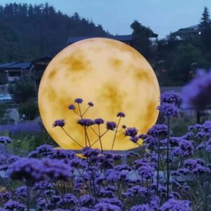 LED Moon lamp Earth light Planet Ball light Night light Star Sphere lamp bedroom home decor outdoor landscape