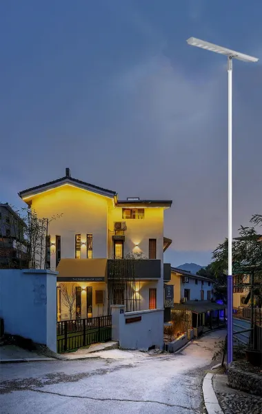 All-in-One Integrated Solar LED Street lights SSL-T35 project 1