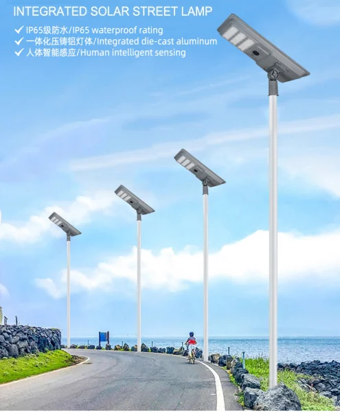 All-in-One Integrated Solar LED Street lights project 6