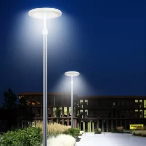 Solar LED Garden Yard light SGL-540 project 03
