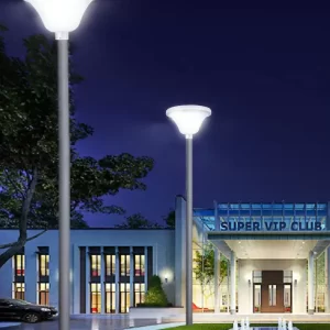 Solar LED Garden Yard light SGL-545 project 07