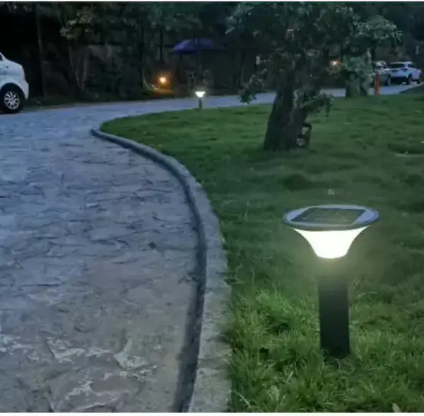 Solar LED Lawn lamps round SLL-2 project in garden 5