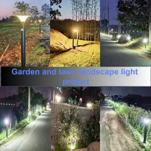 garden and lawn landscape light project